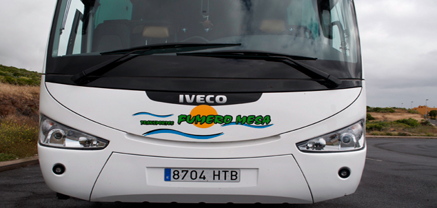 Transportes Fumero Mesa, Servicios discrecionales en Tenerife
